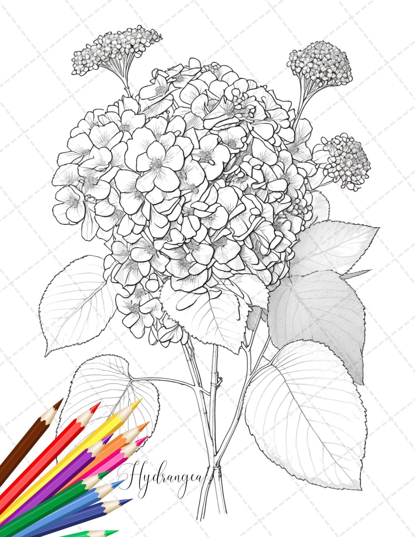 30 Botanical Flowers Printable Coloring Pages for Adults, Floral Grayscale Coloring Book, Printable PDF File Download