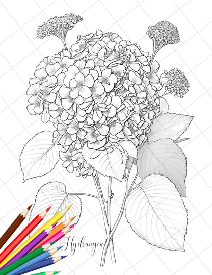 30 Botanical Flowers Printable Coloring Pages for Adults, Floral Grayscale Coloring Book, Printable PDF File Download