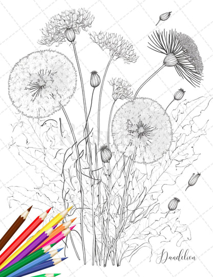 30 Botanical Flowers Printable Coloring Pages for Adults, Floral Grayscale Coloring Book, Printable PDF File Download