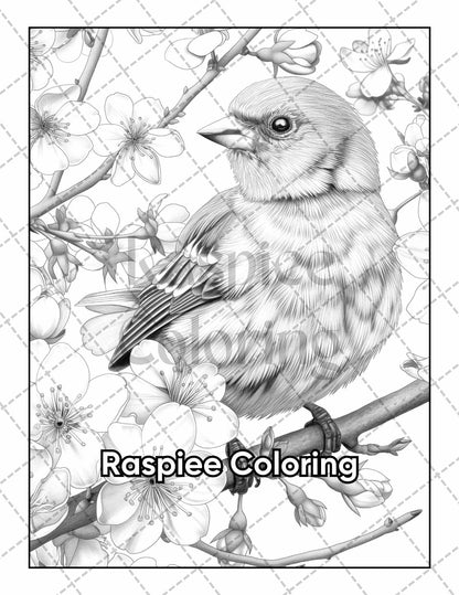 50 Beautiful Birds Adult Coloring Pages Printable PDF Instant Download