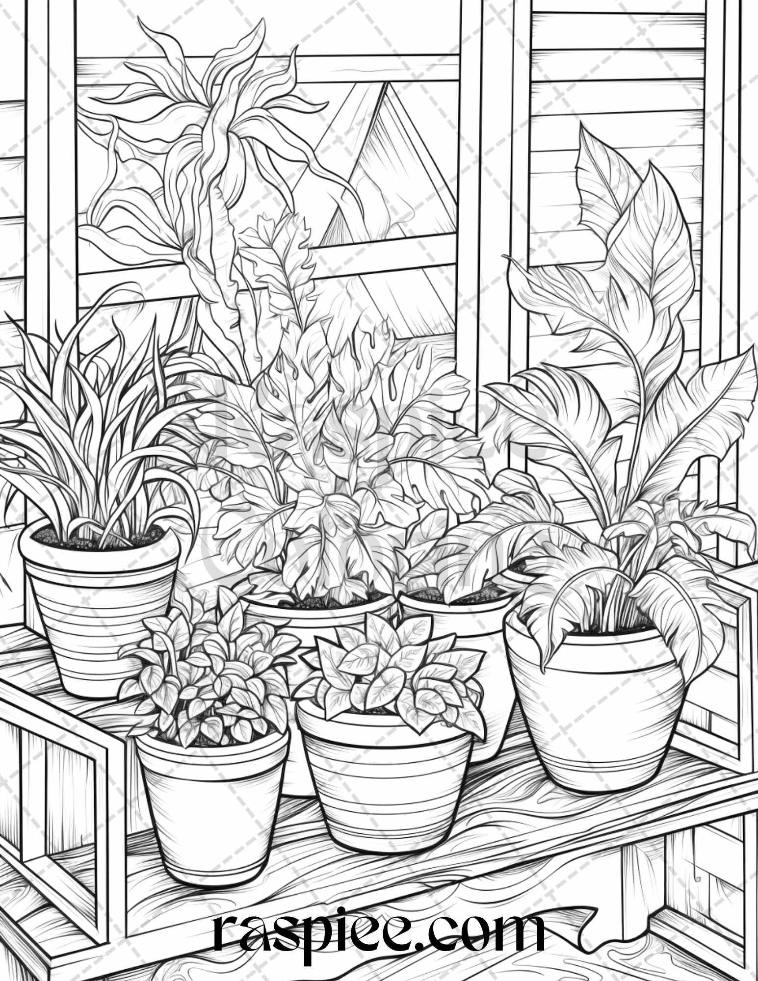 40 Window Plants Grayscale Coloring Pages Printable for Adults, PDF File Instant Download