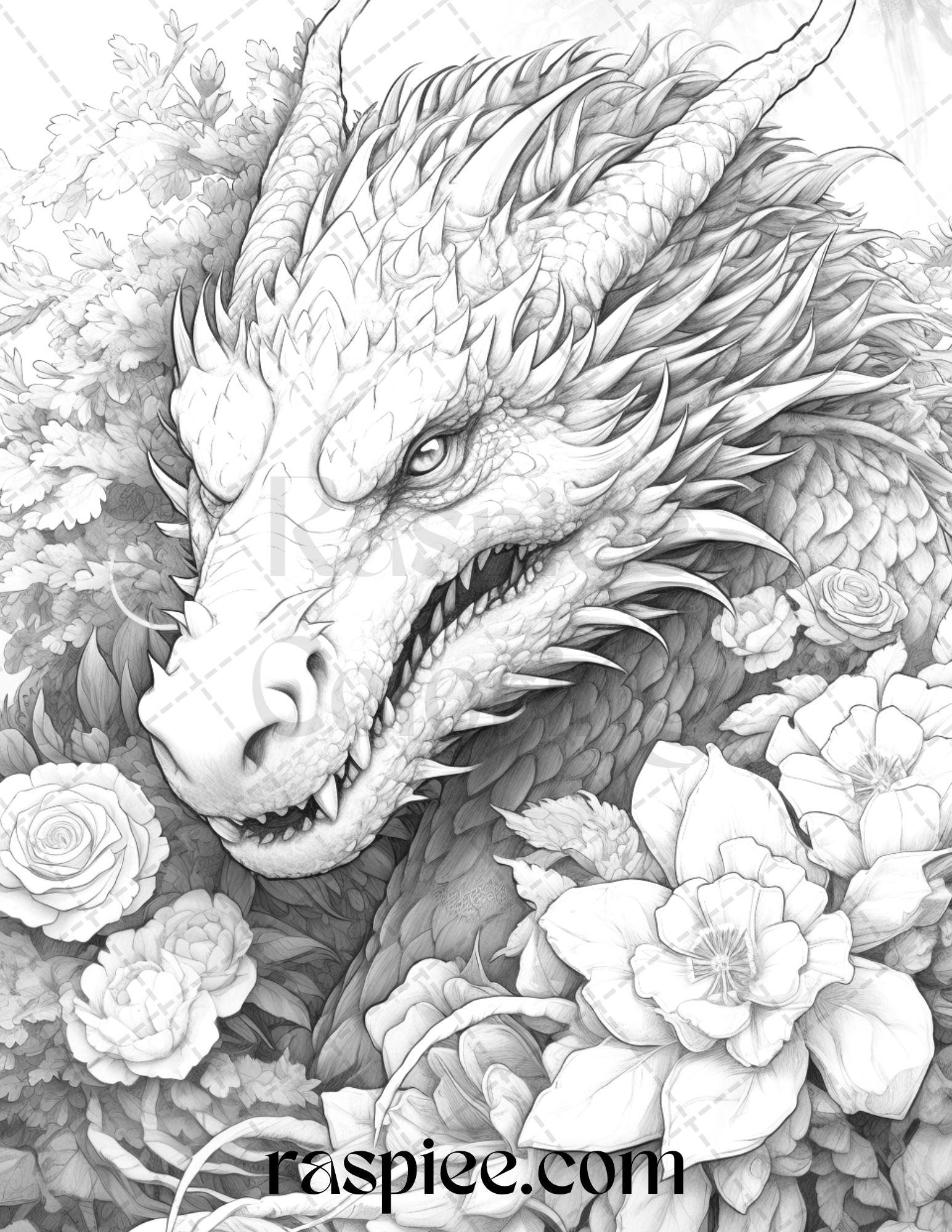 40 Flower Dragon Grayscale Coloring Pages Printable for Adults, PDF File Instant Download