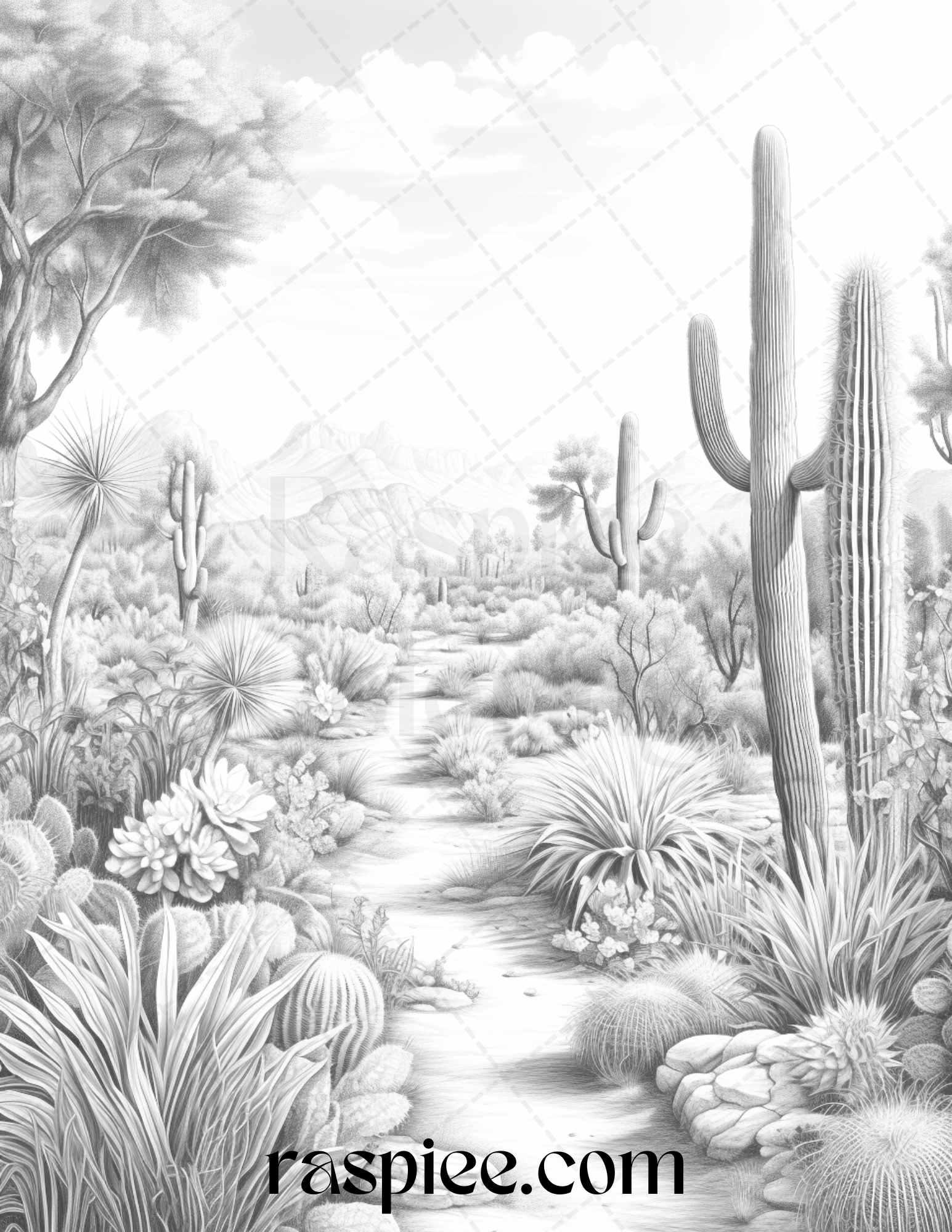 40 Desert Landscapes Grayscale Coloring Pages Printable for Adults, PDF File Instant Download