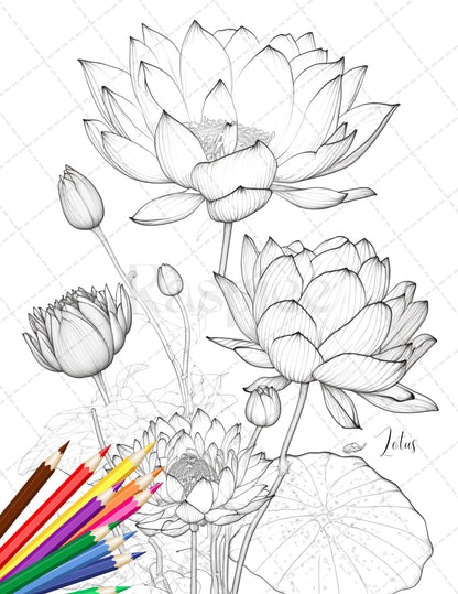 30 Botanical Flowers Printable Coloring Pages for Adults, Floral Grayscale Coloring Book, Printable PDF File Download