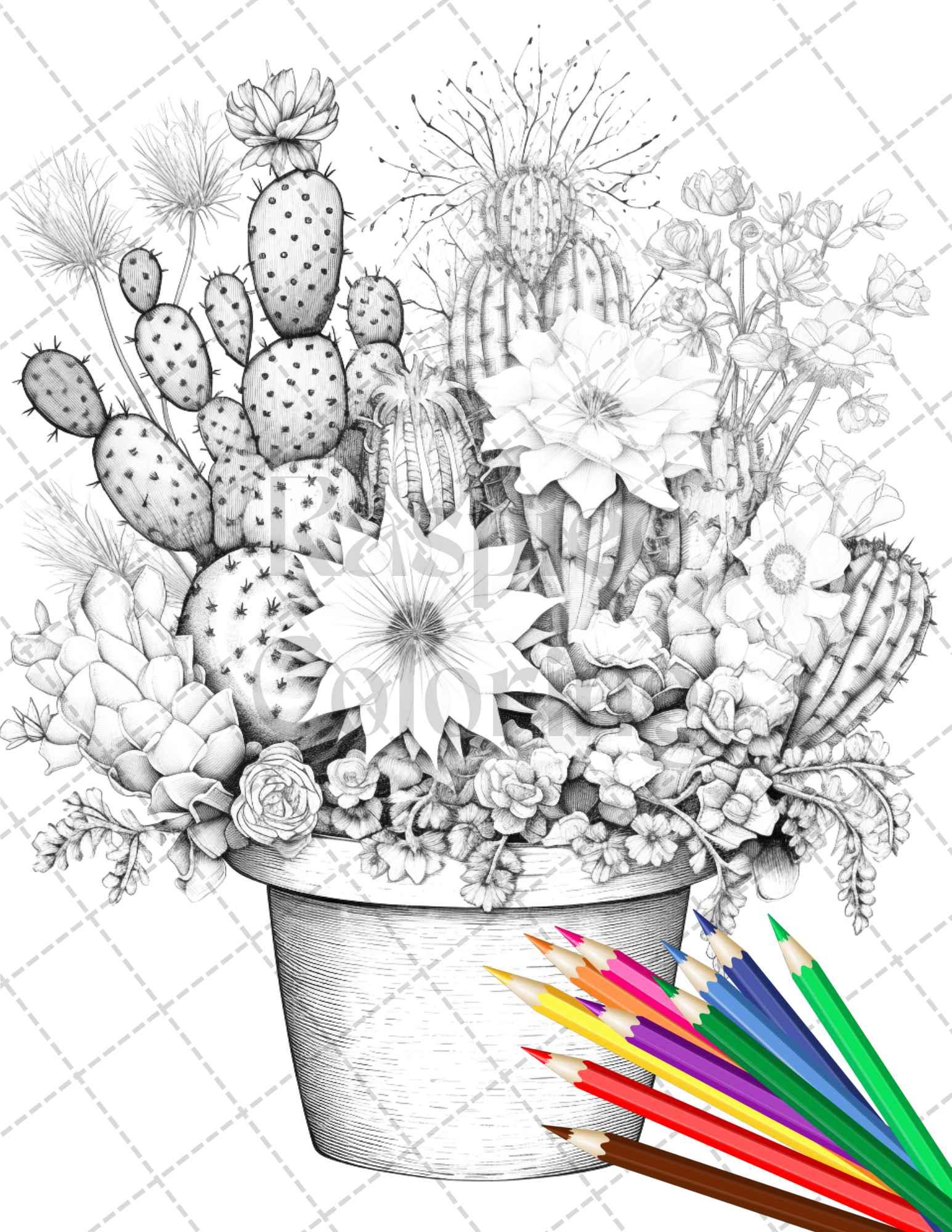 40 Charming Cactus Pots Grayscale Coloring Pages Printable for Adults, PDF File Instant Download