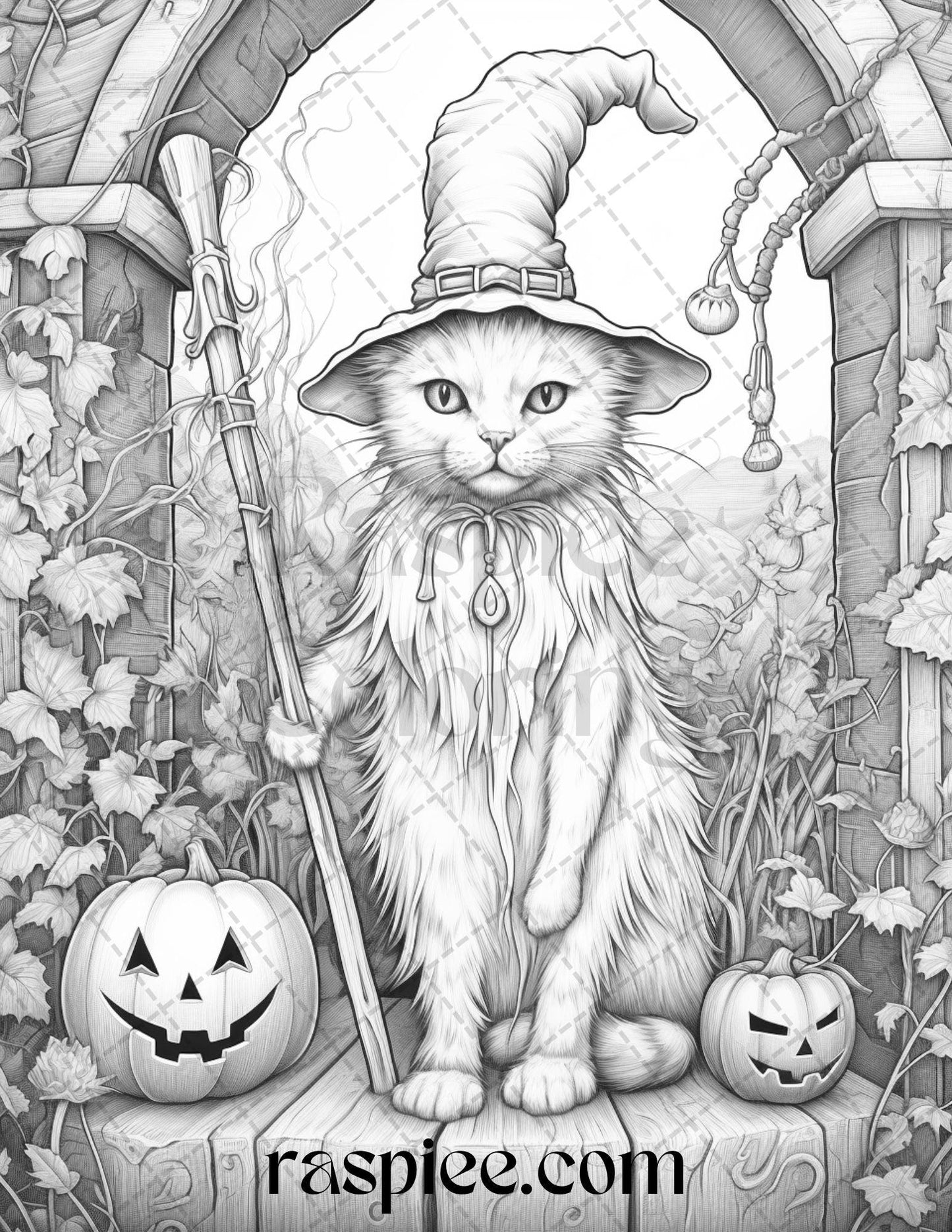 40 Halloween Witch Cat Grayscale Coloring Pages Printable for Adults, PDF File Instant Download