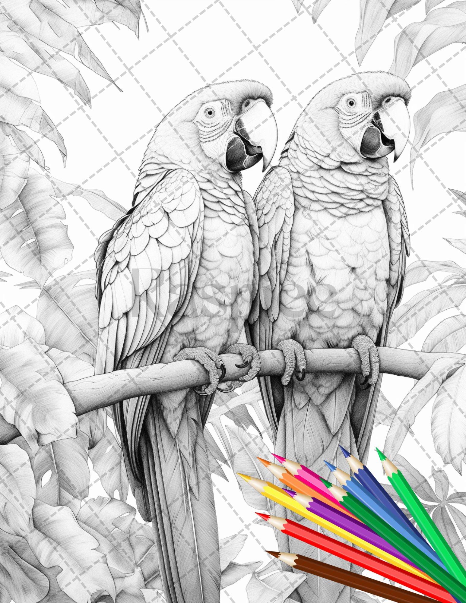 31 Tropical Birds Coloring Book for Adults, Grayscale Coloring Page, Printable PDF Instant Download