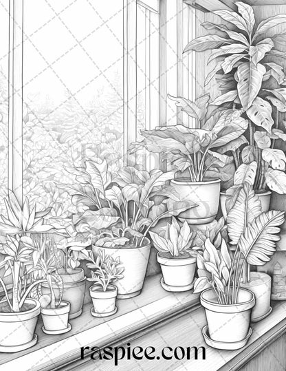 40 Window Plants Grayscale Coloring Pages Printable for Adults, PDF File Instant Download