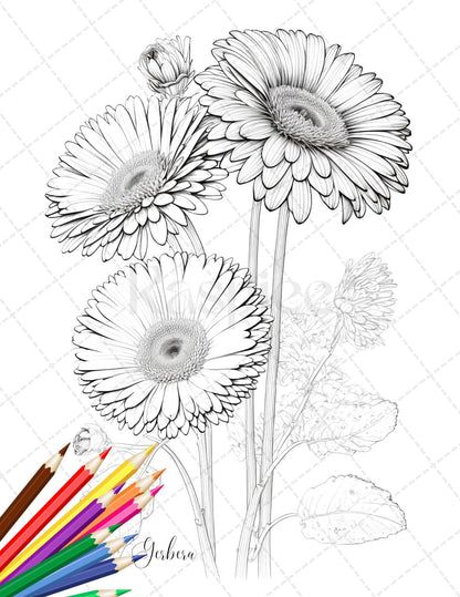 30 Botanical Flowers Printable Coloring Pages for Adults, Floral Grayscale Coloring Book, Printable PDF File Download