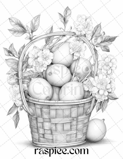 40 Fruit Basket Grayscale Coloring Pages Printable for Adults, PDF File Instant Download