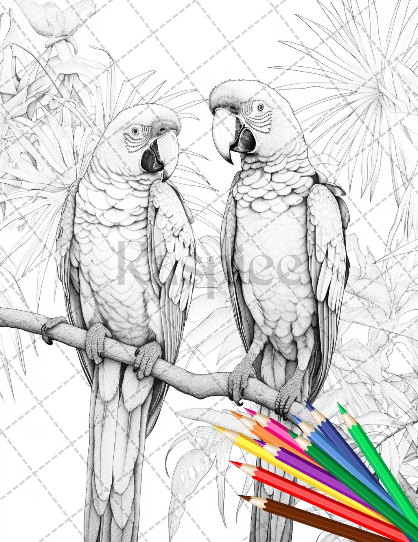 31 Tropical Birds Coloring Book for Adults, Grayscale Coloring Page, Printable PDF Instant Download