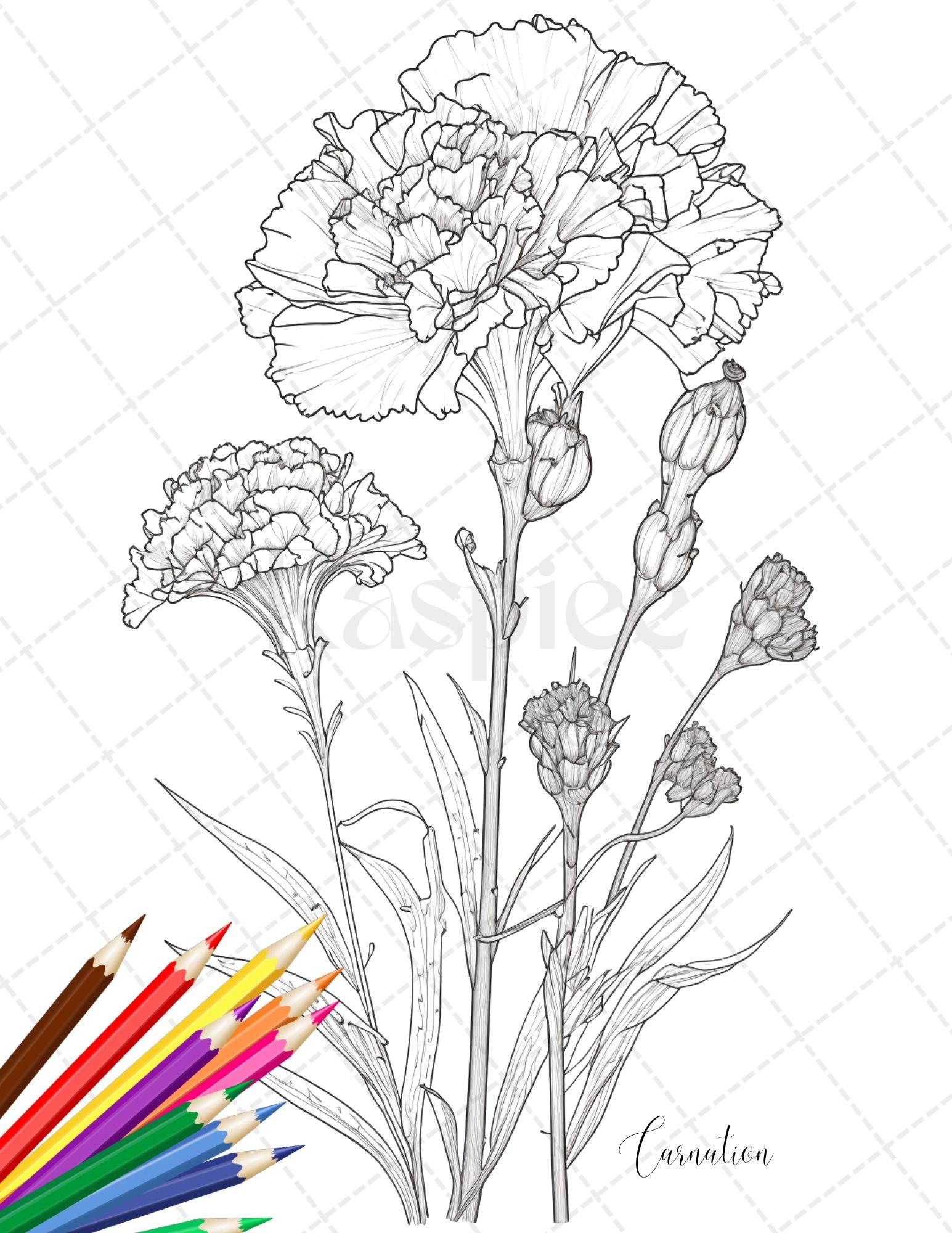 30 Botanical Flowers Printable Coloring Pages for Adults, Floral Grayscale Coloring Book, Printable PDF File Download