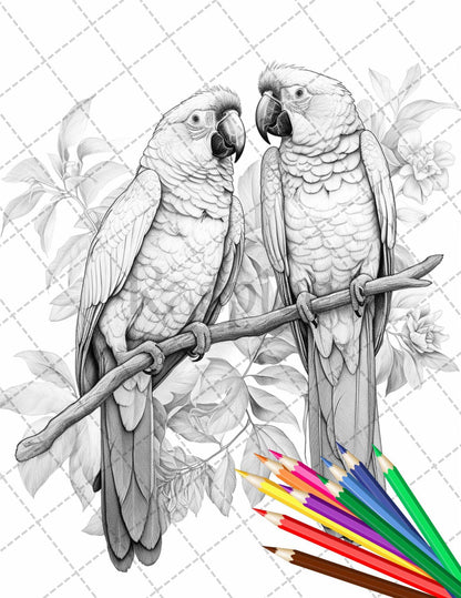 31 Tropical Birds Coloring Book for Adults, Grayscale Coloring Page, Printable PDF Instant Download