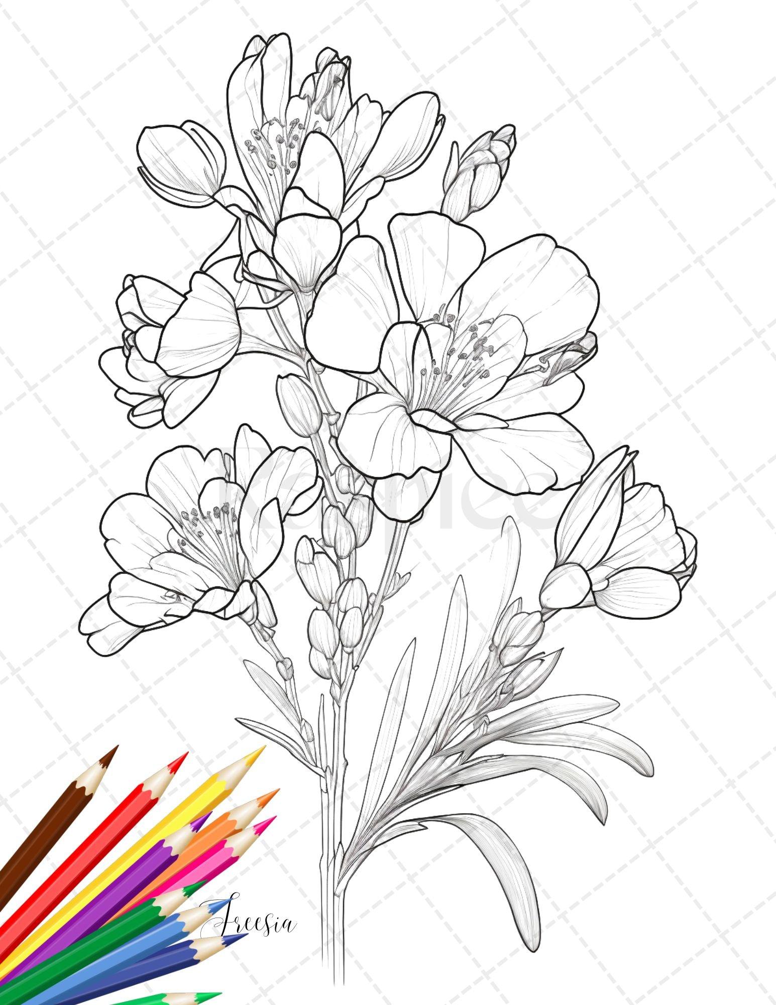 30 Botanical Flowers Printable Coloring Pages for Adults, Floral Grayscale Coloring Book, Printable PDF File Download