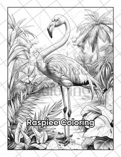 50 Beautiful Birds Adult Coloring Pages Printable PDF Instant Download