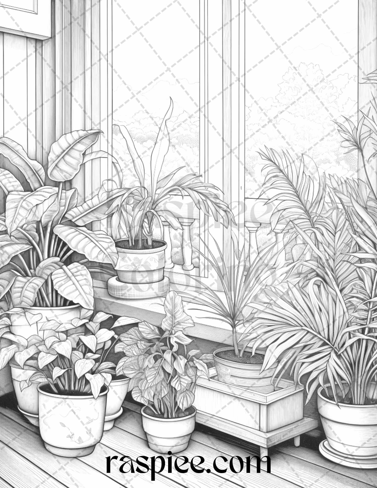 40 Window Plants Grayscale Coloring Pages Printable for Adults, PDF File Instant Download