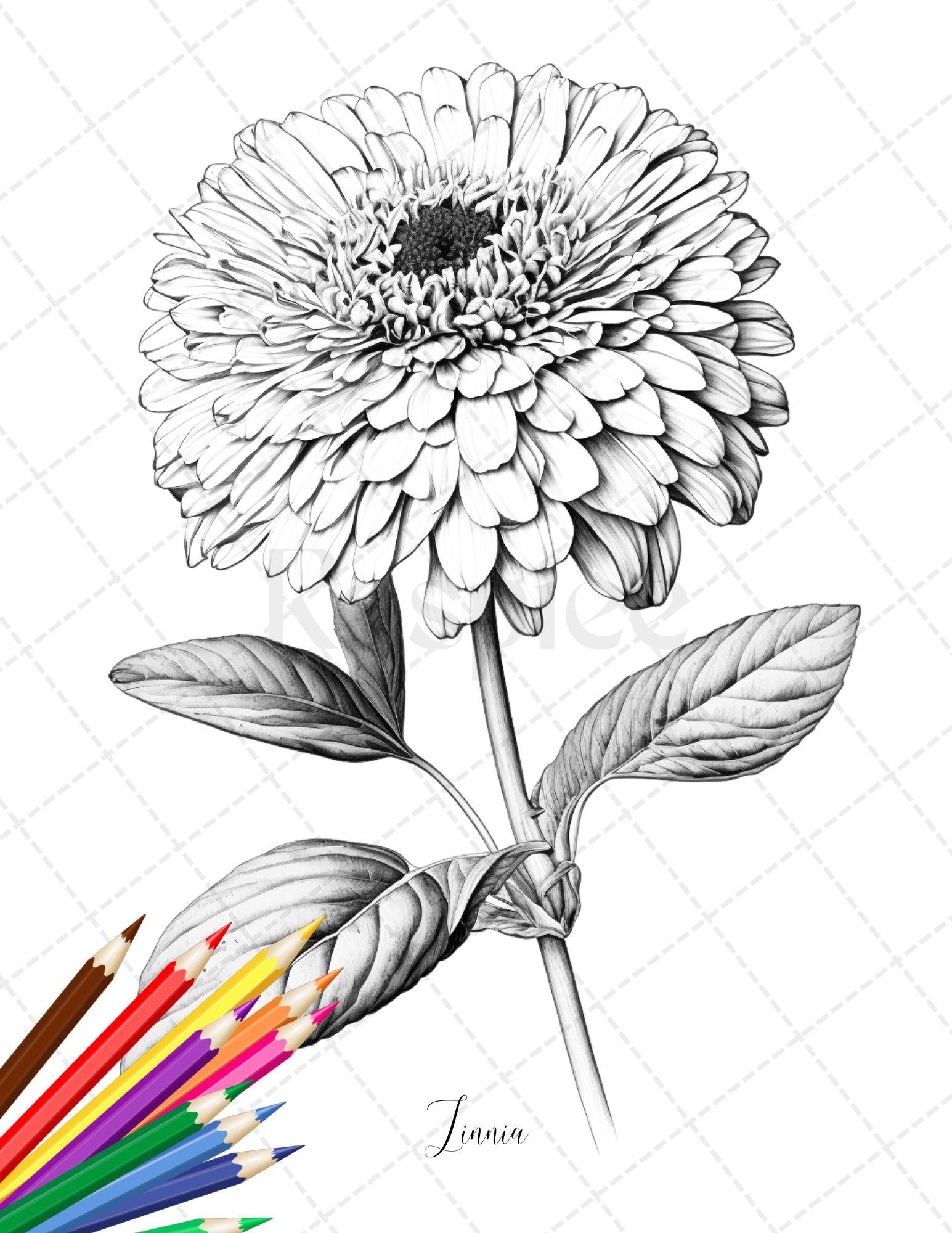 30 Botanical Flowers Printable Coloring Pages for Adults, Floral Grayscale Coloring Book, Printable PDF File Download