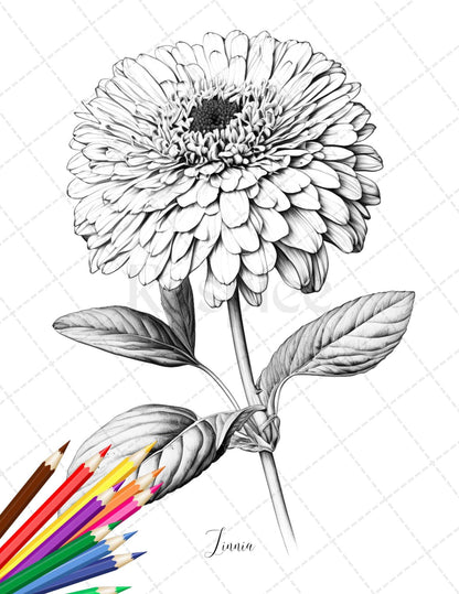 30 Botanical Flowers Printable Coloring Pages for Adults, Floral Grayscale Coloring Book, Printable PDF File Download