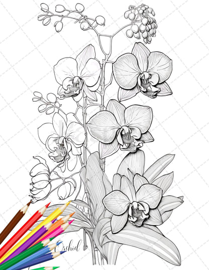 30 Botanical Flowers Printable Coloring Pages for Adults, Floral Grayscale Coloring Book, Printable PDF File Download