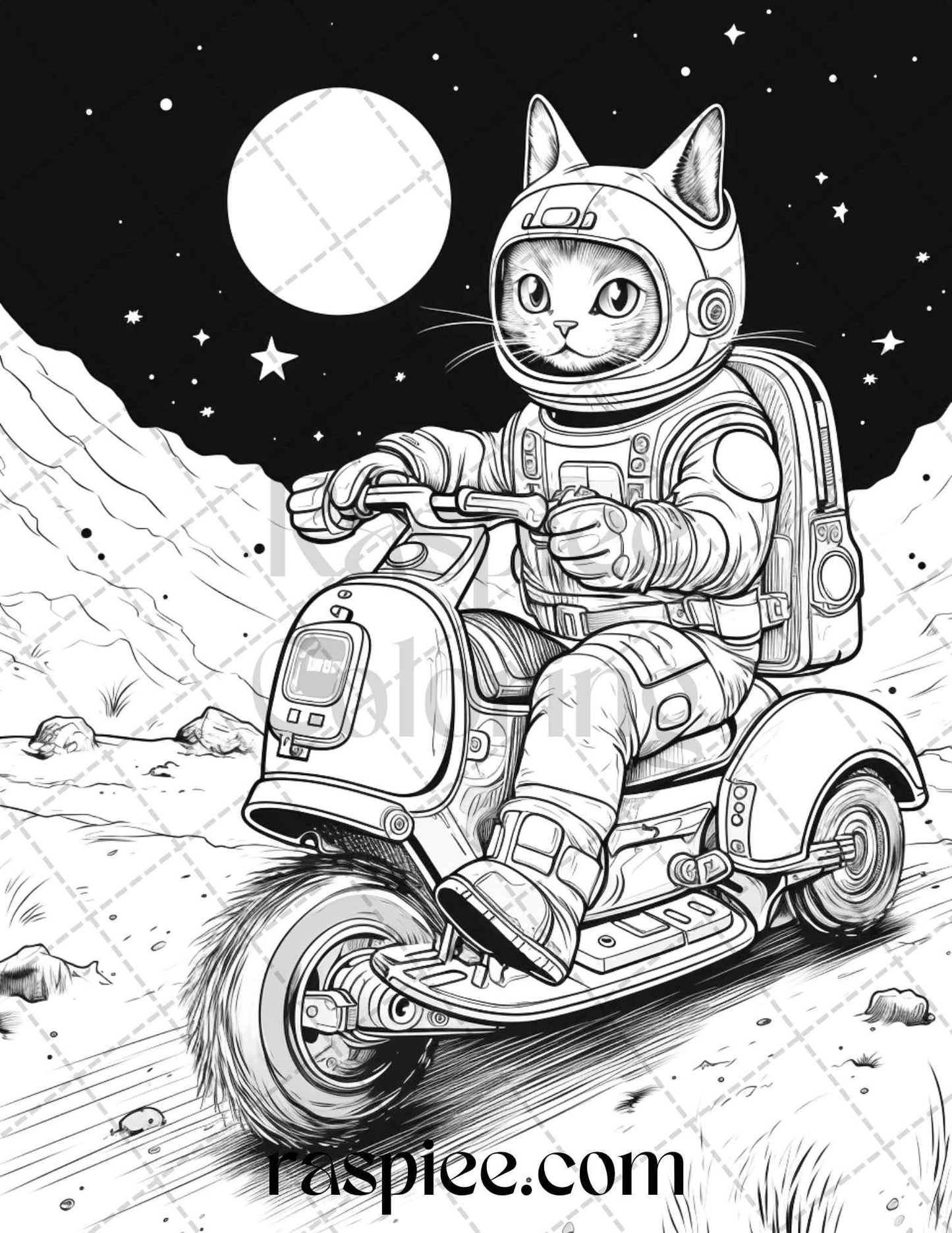 40 Cat Astronaut Grayscale Coloring Pages Printable for Adults Kids, PDF File Instant Download