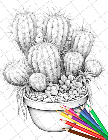 40 Charming Cactus Pots Grayscale Coloring Pages Printable for Adults, PDF File Instant Download