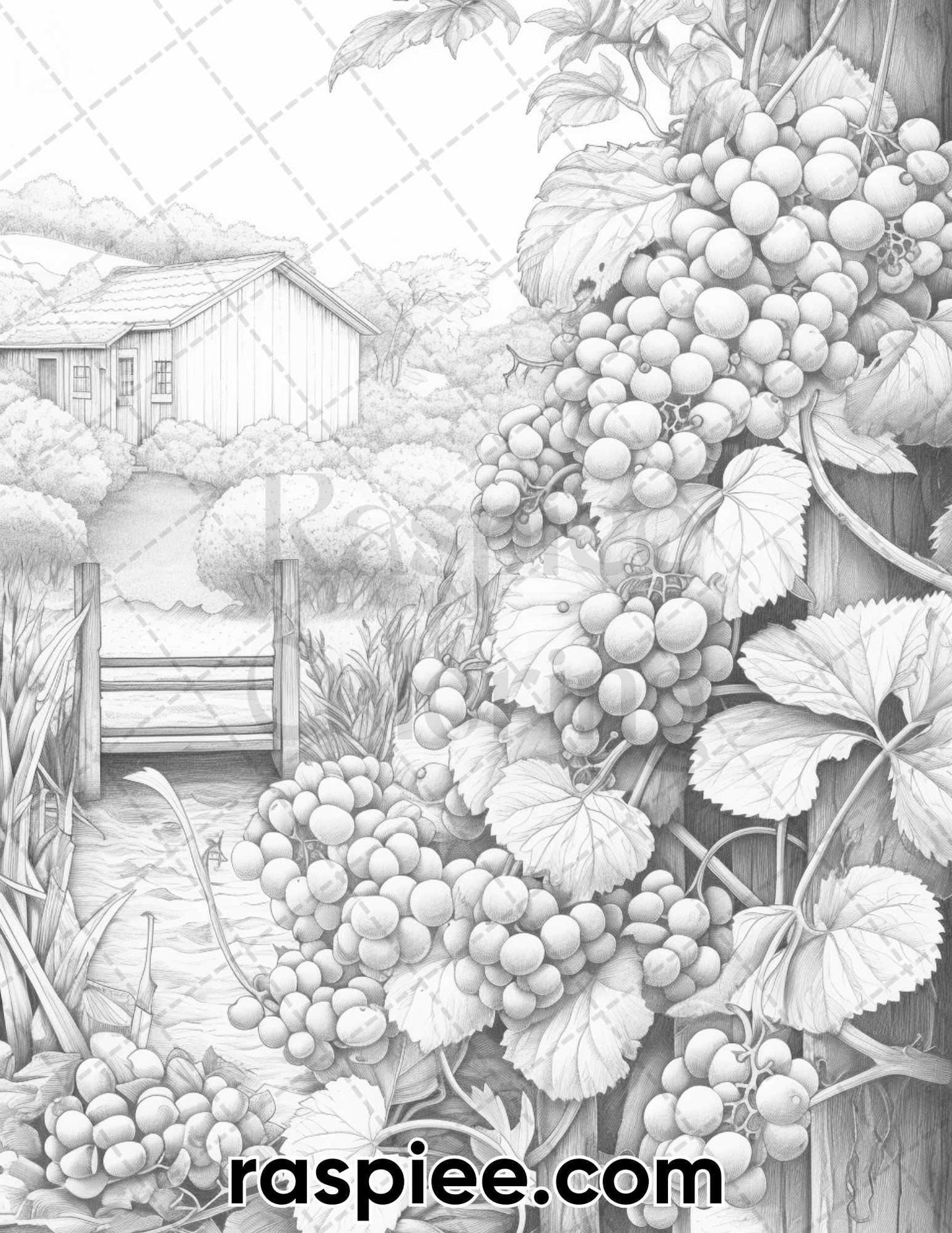 40 Spring Vineyard Grayscale Adult Coloring Pages, Printable PDF Instant Download