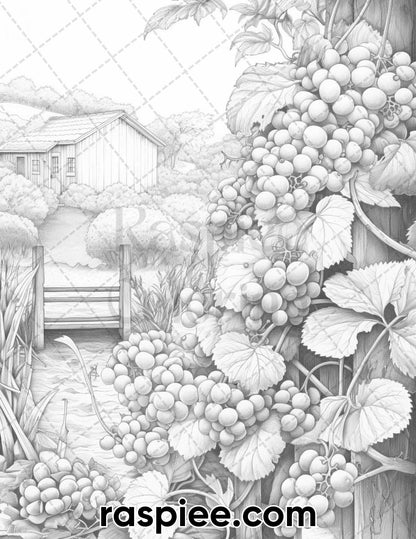 40 Spring Vineyard Grayscale Adult Coloring Pages, Printable PDF Instant Download