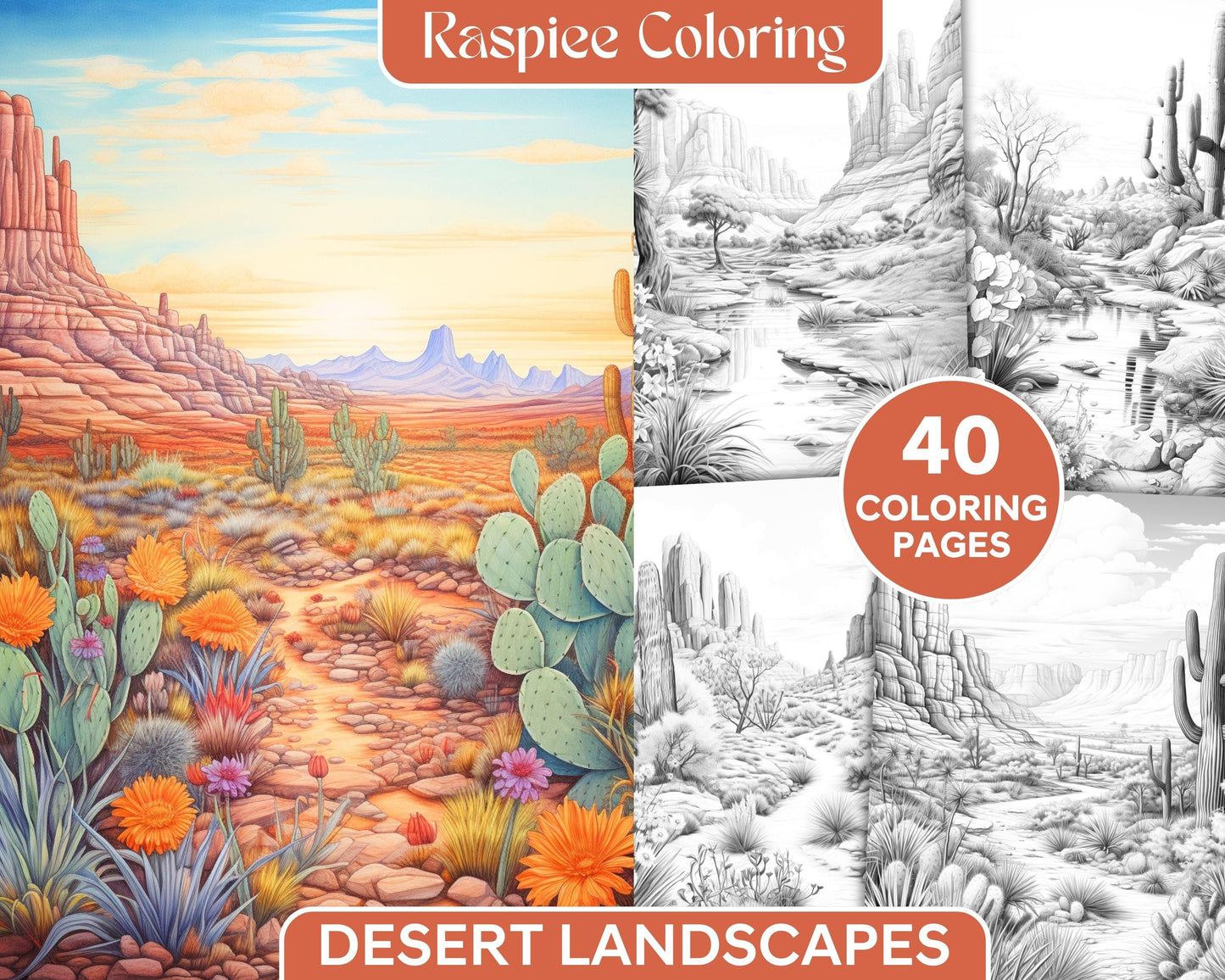 40 Desert Landscapes Grayscale Coloring Pages Printable for Adults, PDF File Instant Download