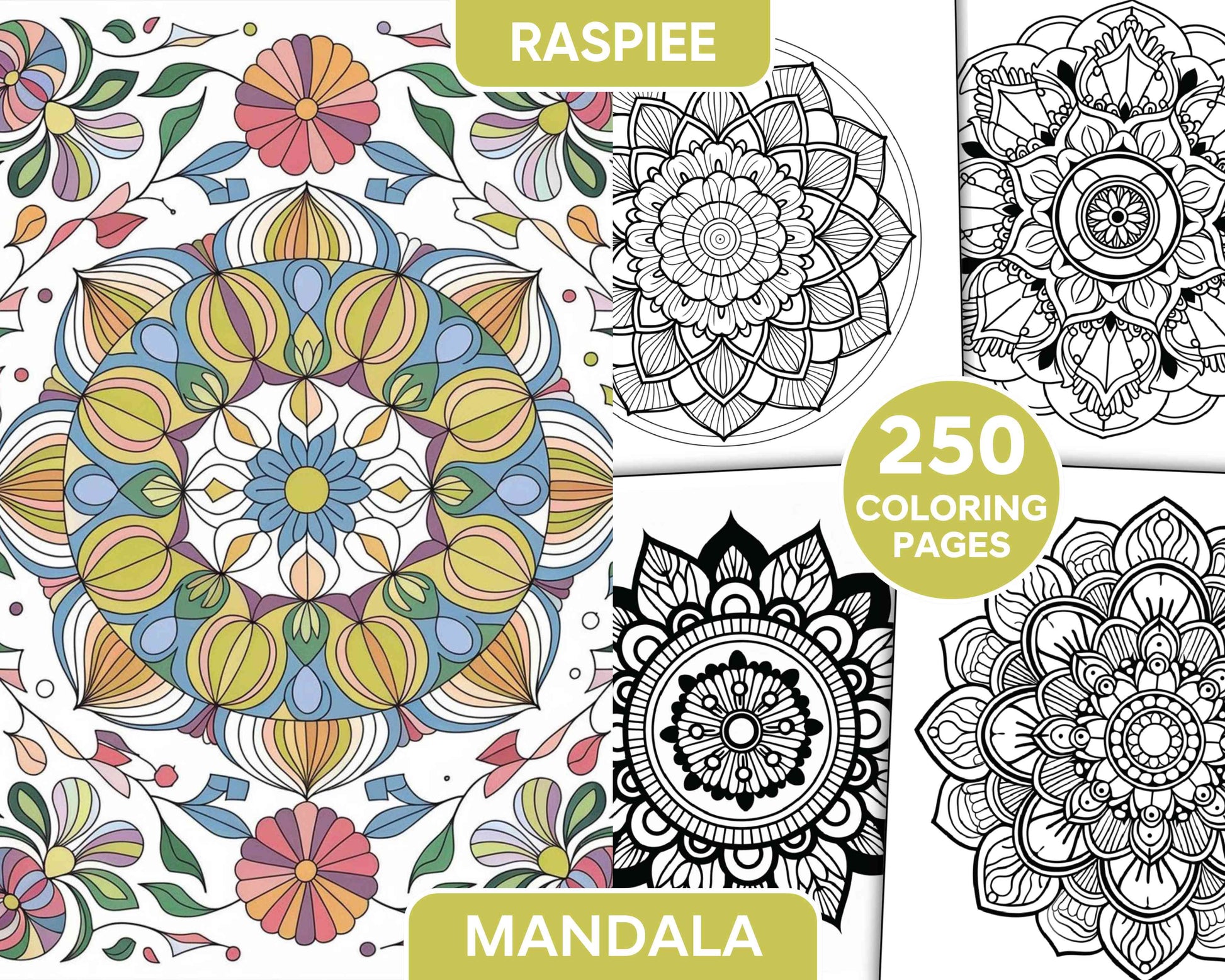 250 Mandala Adult Coloring Pages Vol.4