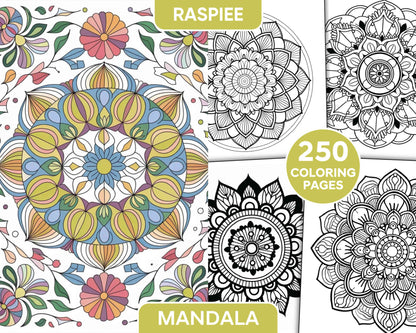 250 Mandala Adult Coloring Pages Vol.4