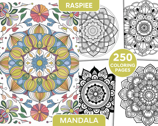 250 Mandala Adult Coloring Pages Vol.4