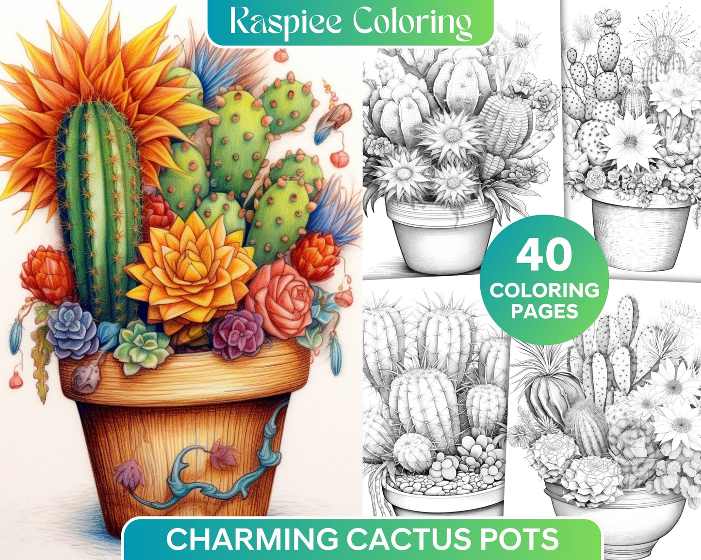 40 Charming Cactus Pots Grayscale Coloring Pages Printable for Adults, PDF File Instant Download