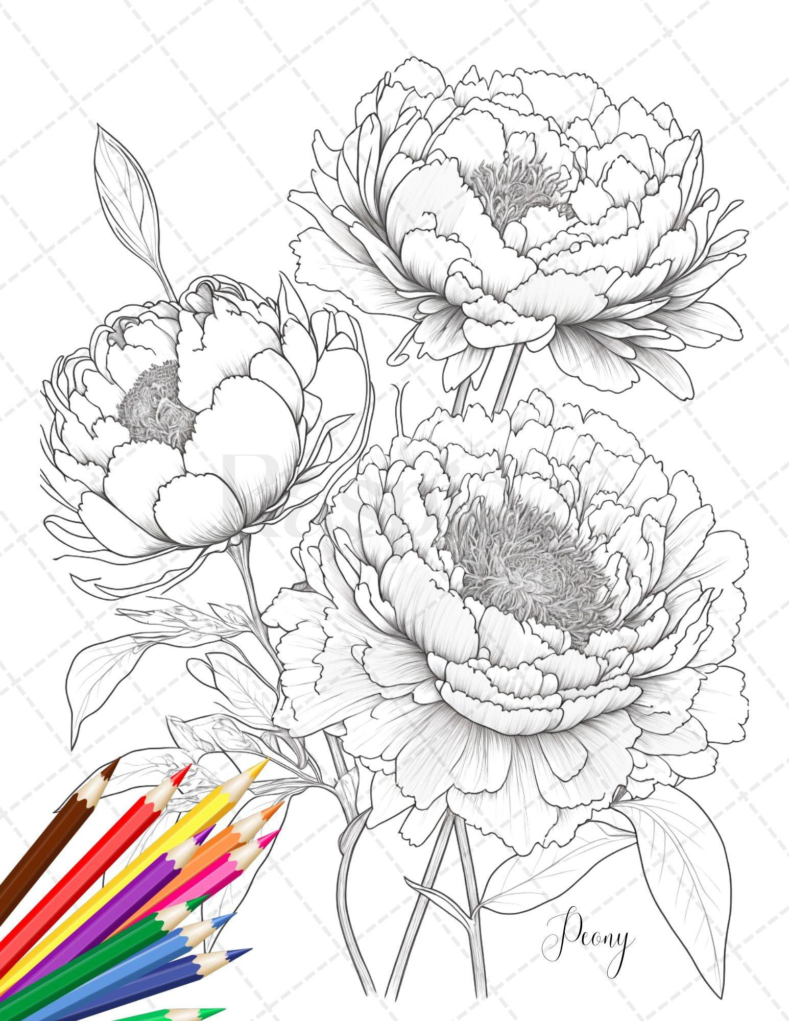 30 Botanical Flowers Printable Coloring Pages for Adults, Floral Grayscale Coloring Book, Printable PDF File Download