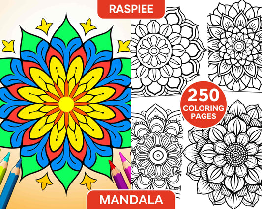 250 Mandala Adult Coloring Pages Vol.1