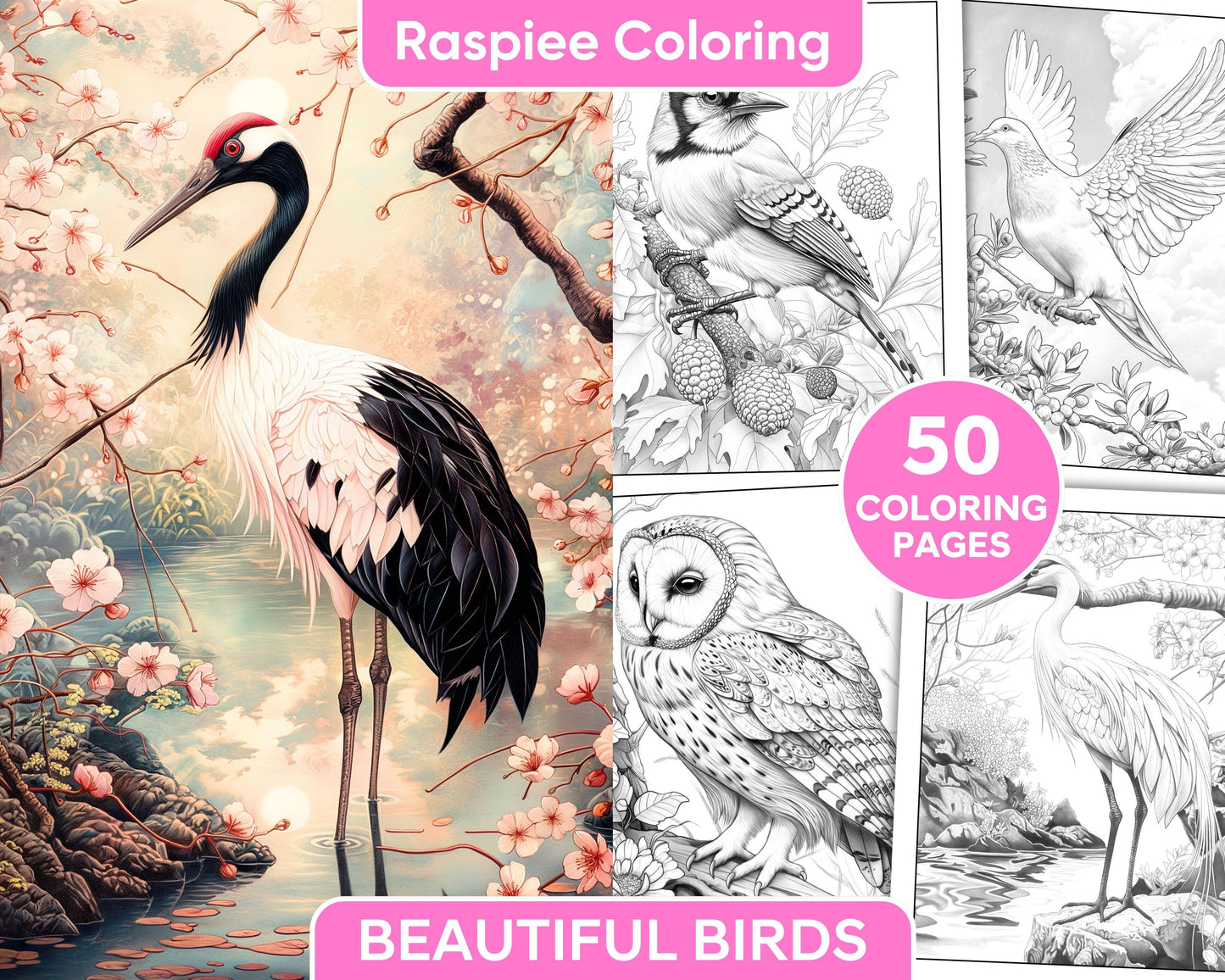 50 Beautiful Birds Adult Coloring Pages Printable PDF Instant Download