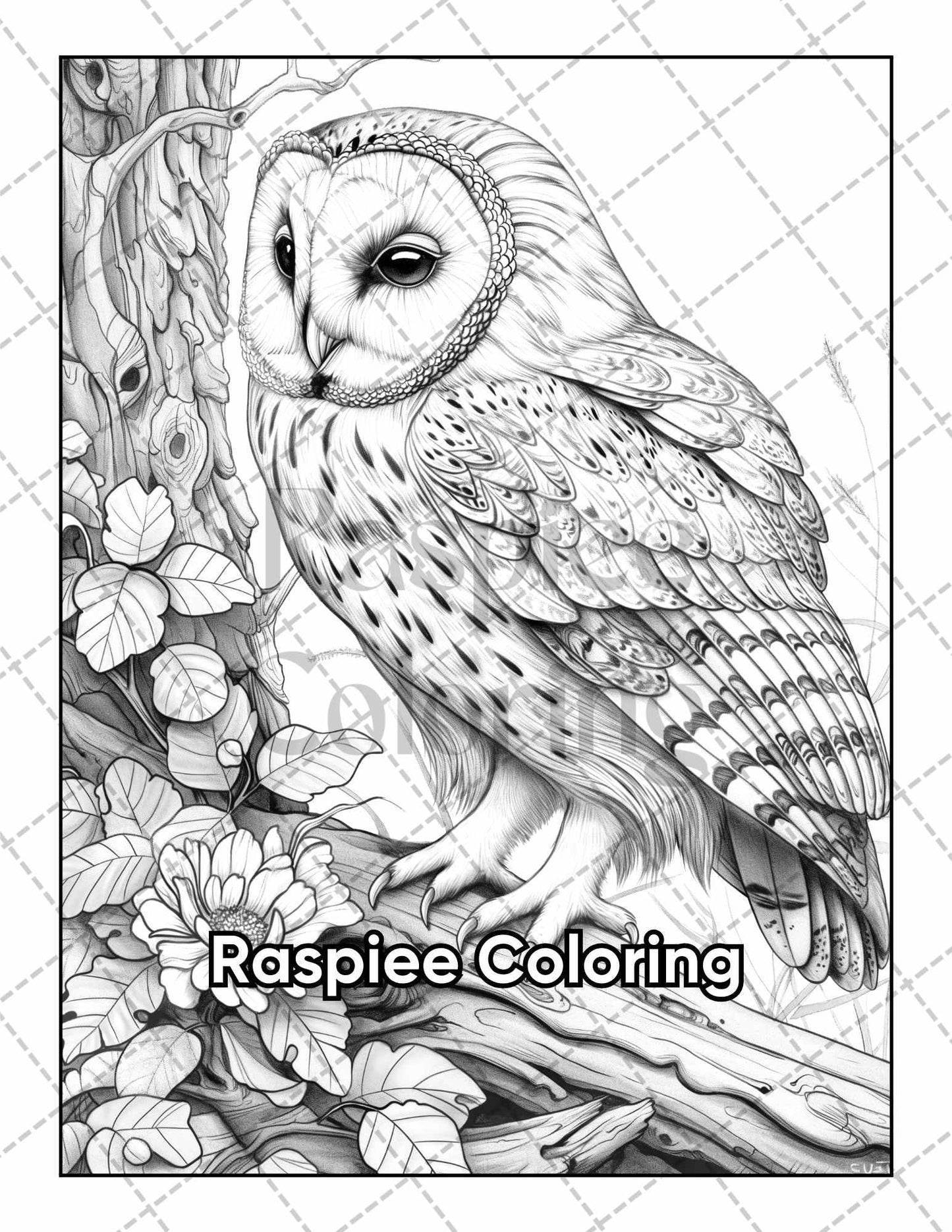 50 Beautiful Birds Adult Coloring Pages Printable PDF Instant Download