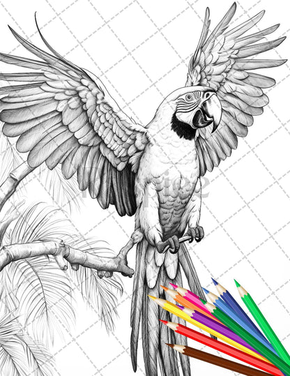 31 Tropical Birds Coloring Book for Adults, Grayscale Coloring Page, Printable PDF Instant Download