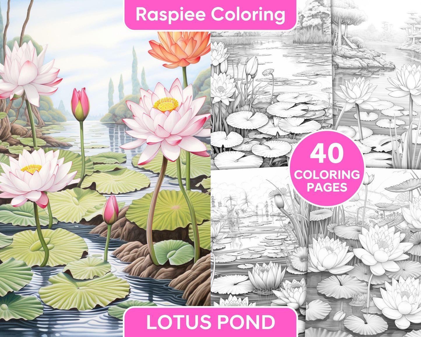 40 Lotus Pond Serenity Grayscale Adult Coloring Pages, Printable PDF Instant Download