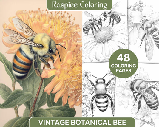 48 Vintage Botanical Bee Grayscale Coloring Pages Printable for Adults, PDF File Instant Download