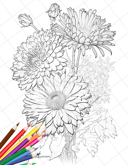 30 Botanical Flowers Printable Coloring Pages for Adults, Floral Grayscale Coloring Book, Printable PDF File Download