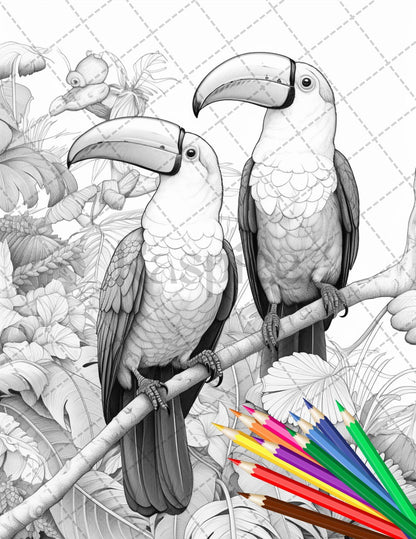 31 Tropical Birds Coloring Book for Adults, Grayscale Coloring Page, Printable PDF Instant Download