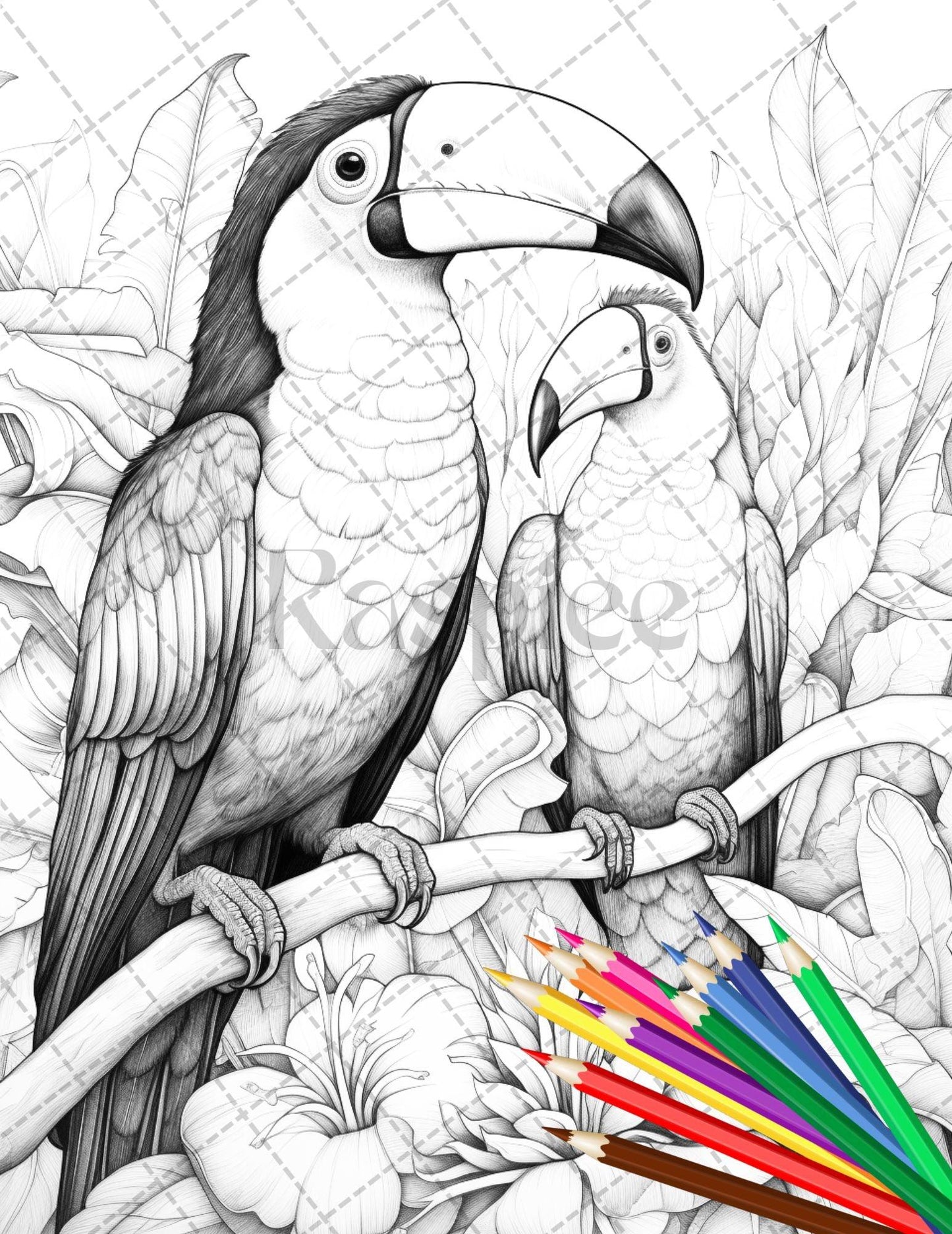 31 Tropical Birds Coloring Book for Adults, Grayscale Coloring Page, Printable PDF Instant Download