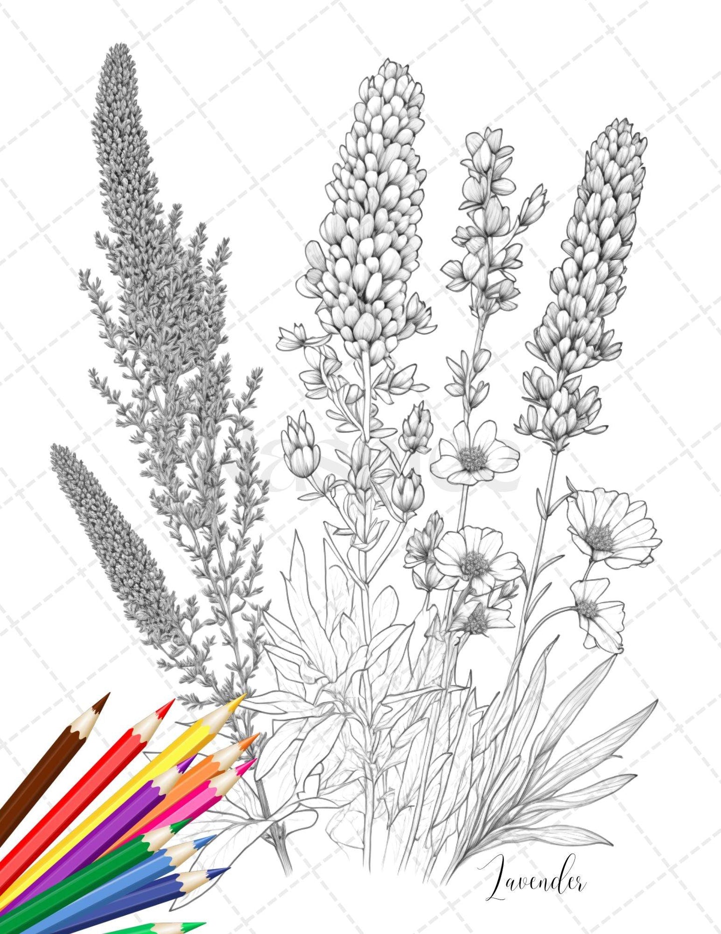 30 Botanical Flowers Printable Coloring Pages for Adults, Floral Grayscale Coloring Book, Printable PDF File Download