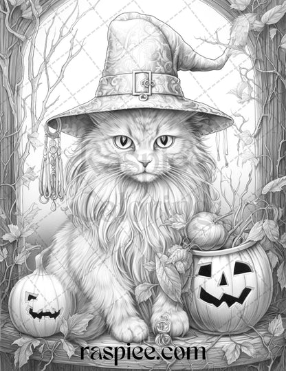 40 Halloween Witch Cat Grayscale Coloring Pages Printable for Adults, PDF File Instant Download