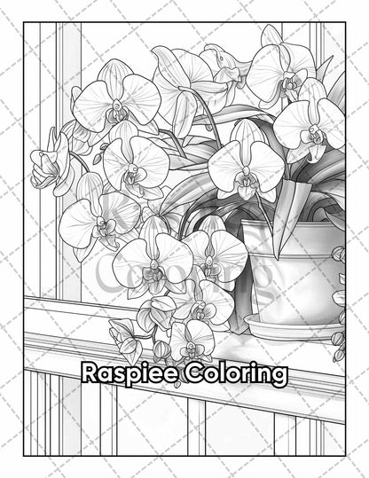 50 Balcony Garden Adult Coloring Pages Printable PDF Instant Download