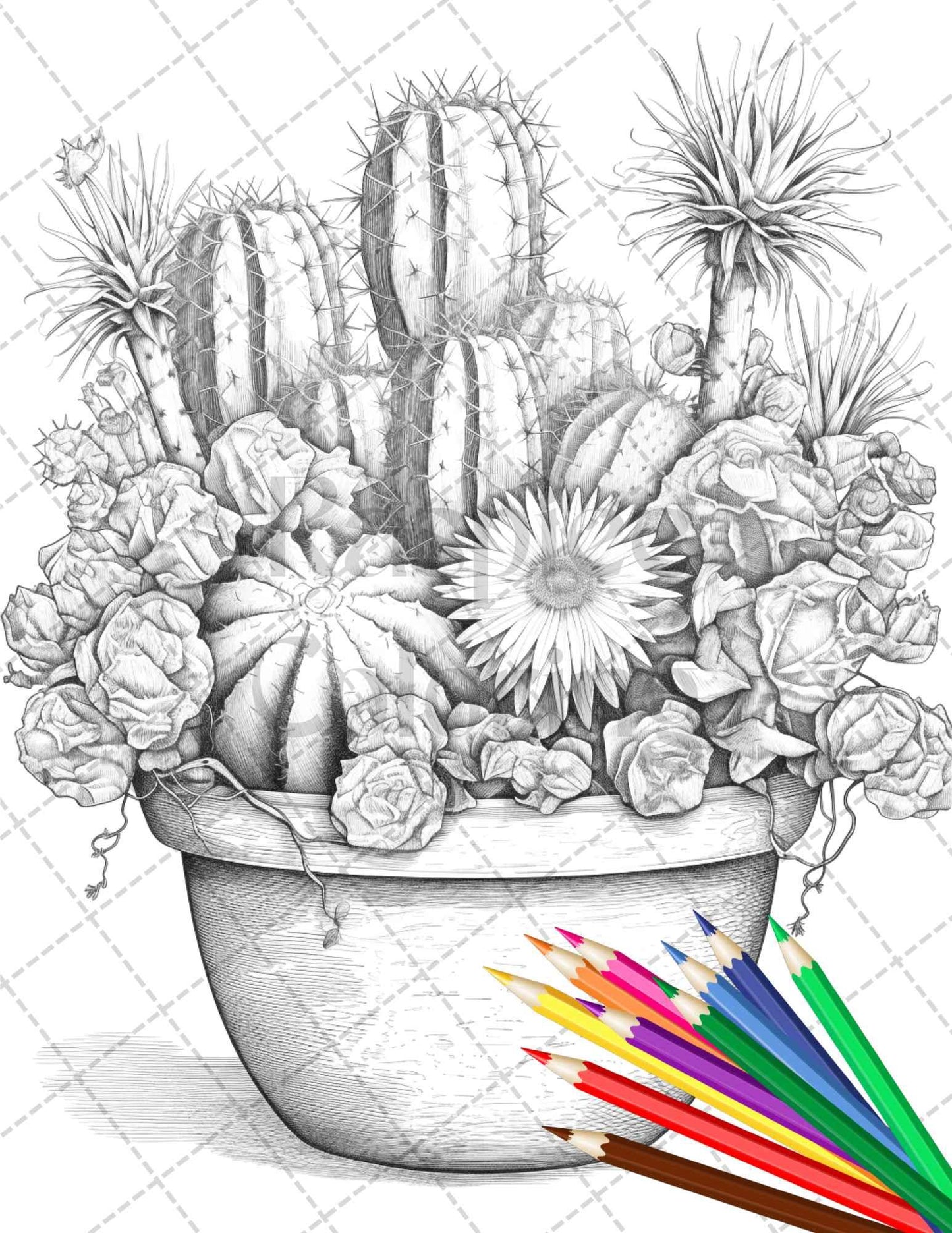 40 Charming Cactus Pots Grayscale Coloring Pages Printable for Adults, PDF File Instant Download