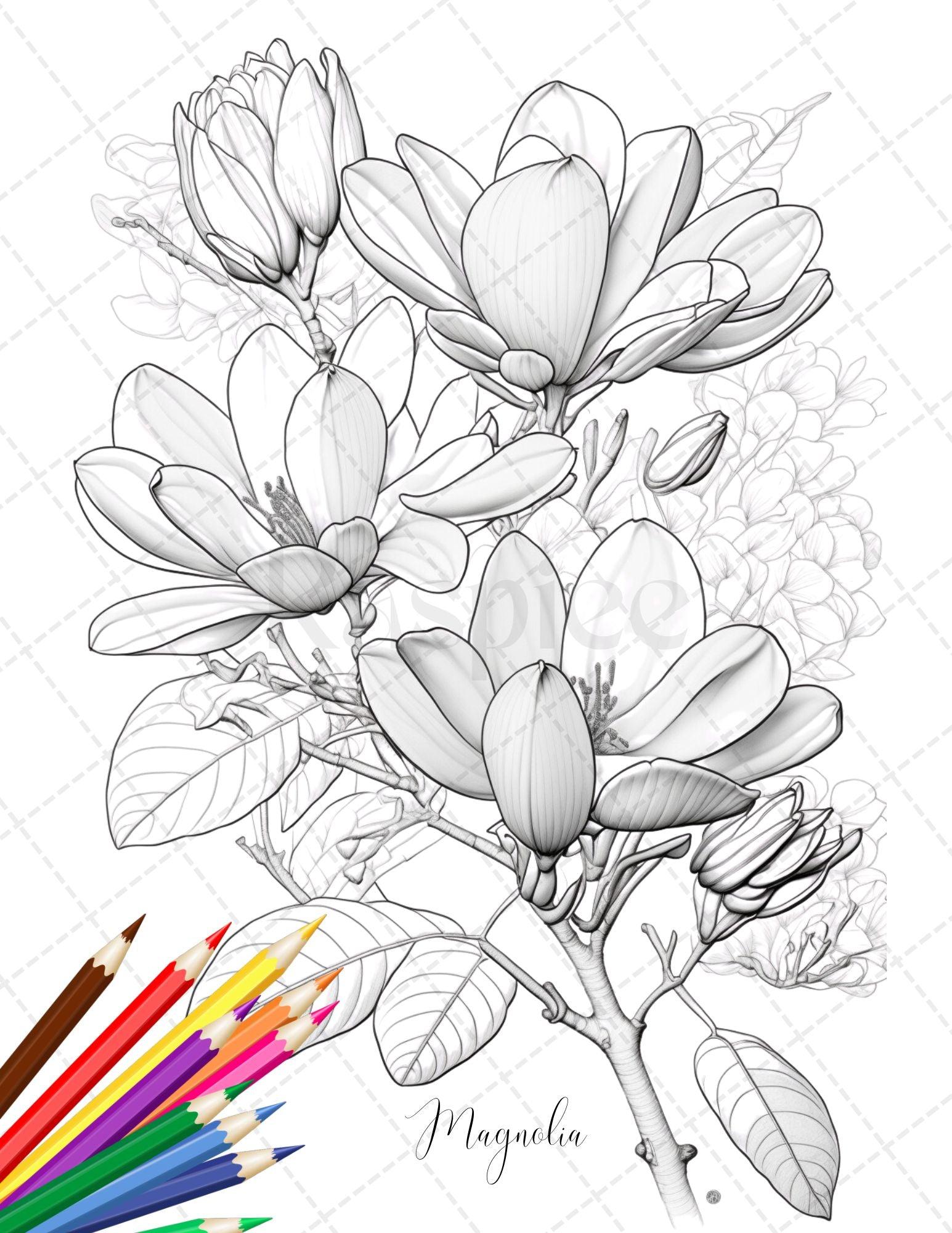 30 Botanical Flowers Printable Coloring Pages for Adults, Floral Grayscale Coloring Book, Printable PDF File Download