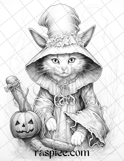 40 Halloween Witch Cat Grayscale Coloring Pages Printable for Adults, PDF File Instant Download