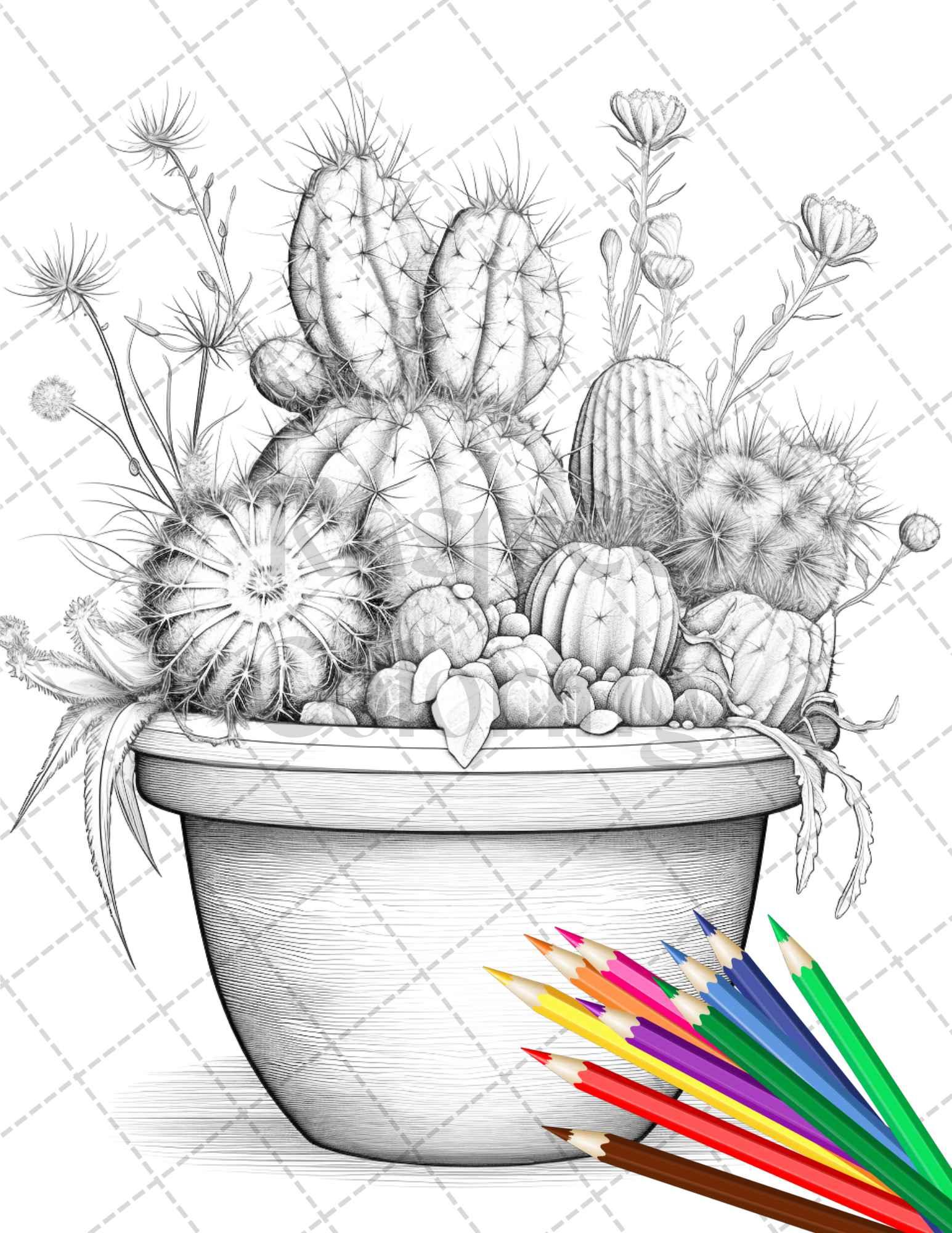 40 Charming Cactus Pots Grayscale Coloring Pages Printable for Adults, PDF File Instant Download