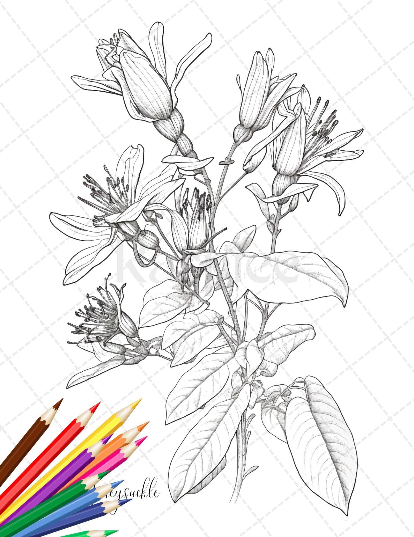 30 Botanical Flowers Printable Coloring Pages for Adults, Floral Grayscale Coloring Book, Printable PDF File Download